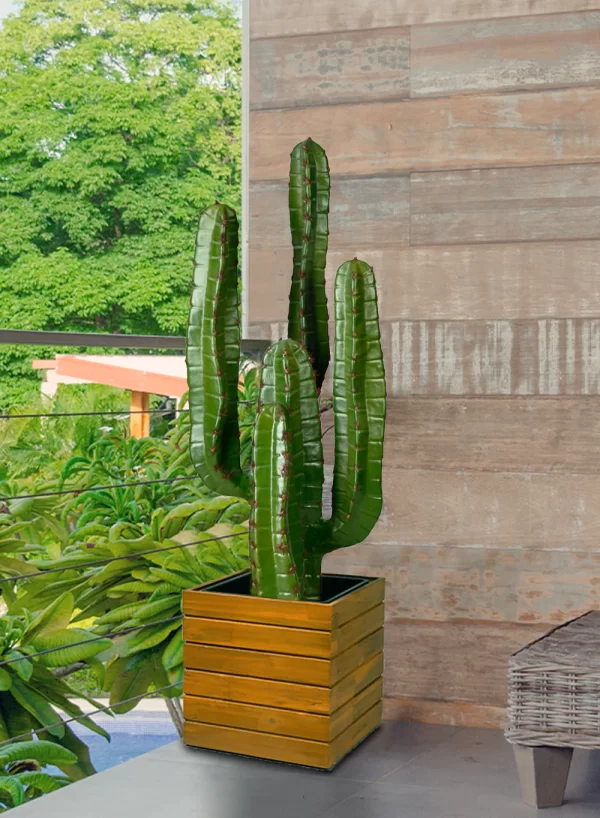 CANDELABRA CACTUS