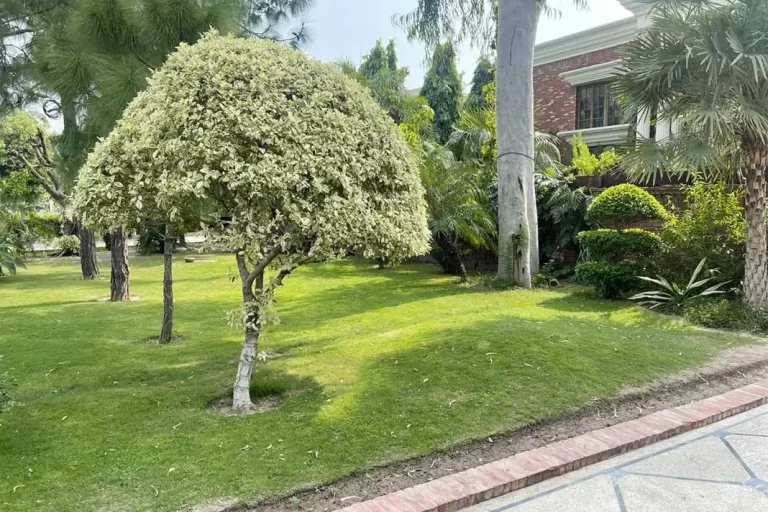 Image20240704162956