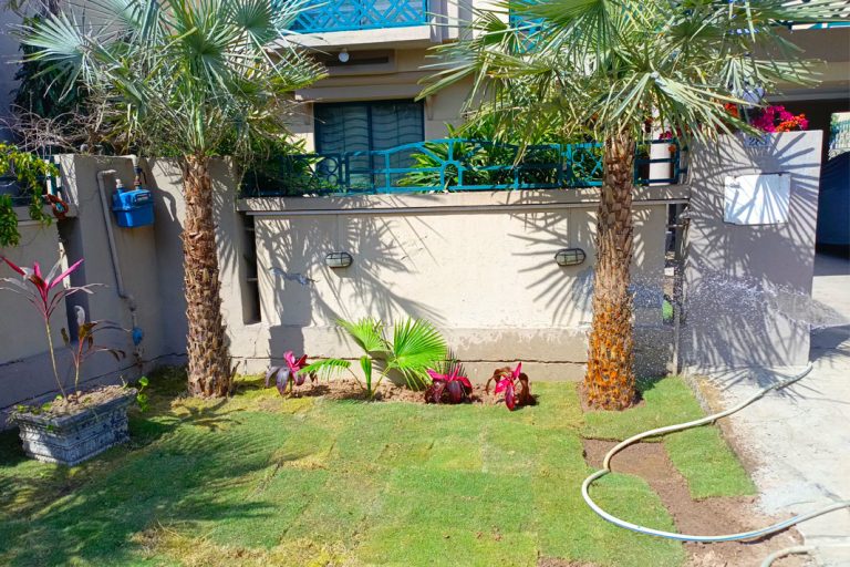 Landscaping - faizan farms